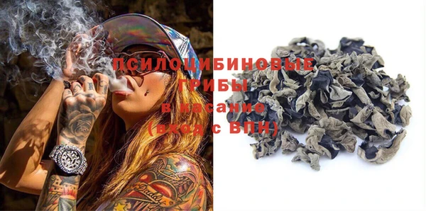 ПСИЛОЦИБИНОВЫЕ ГРИБЫ Кинешма