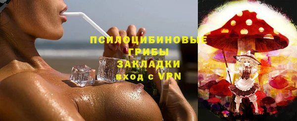 ПСИЛОЦИБИНОВЫЕ ГРИБЫ Кинешма